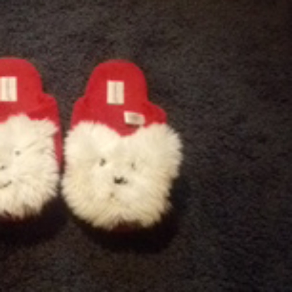 Flippers